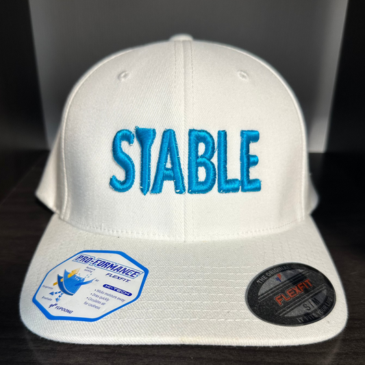 STABLE Fitted Hat